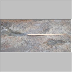 102_7512 (2013-08-19)m.JPG